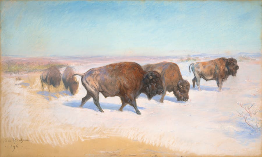 Rediscovered Pastel by Rosa Bonheur Sells at Christie's